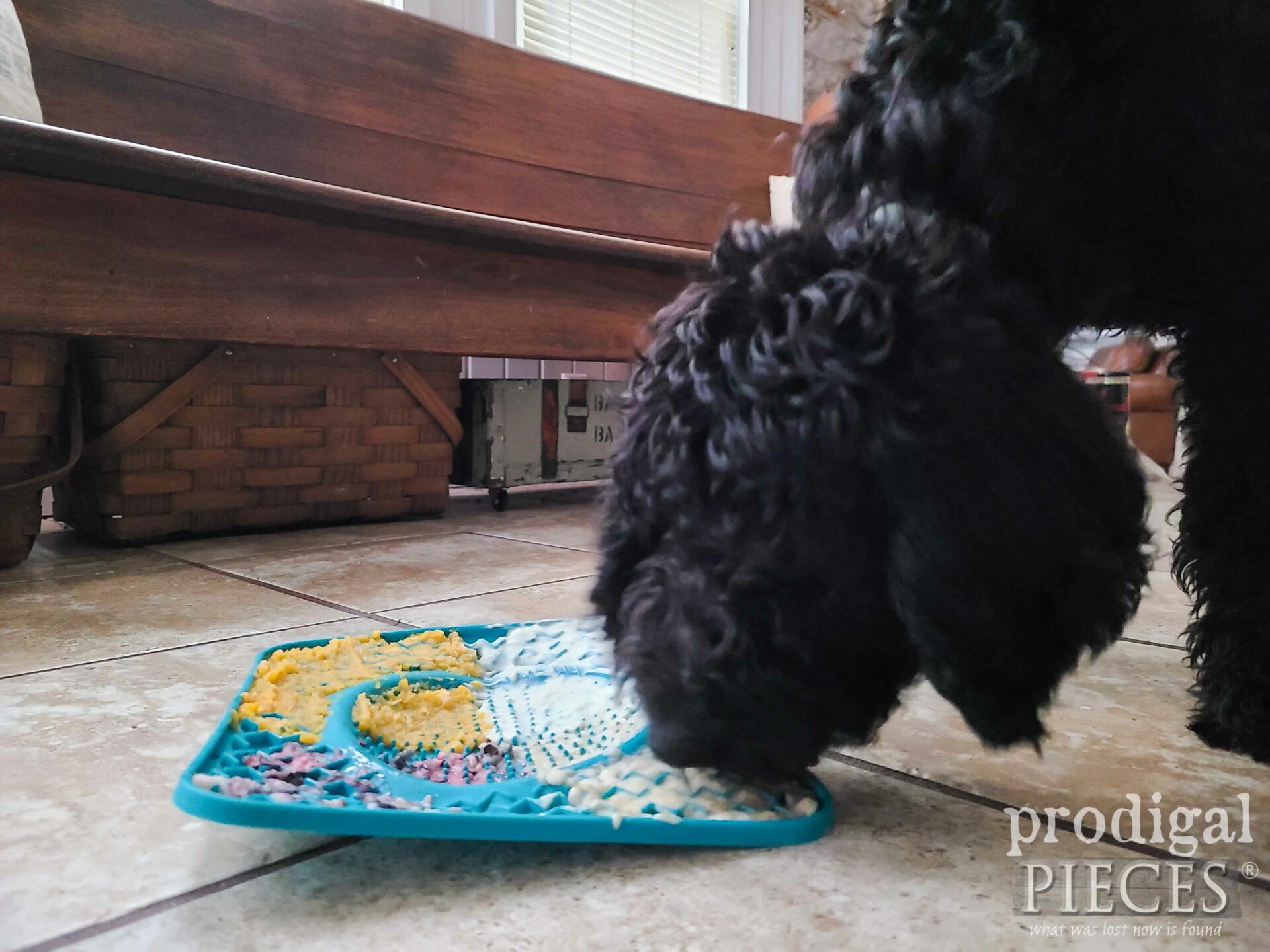 Goldendoodle Puppy Licking Lick Pad | prodigalpieces.com #prodigalpieces #dogtoy #dogtreats #naturaldog