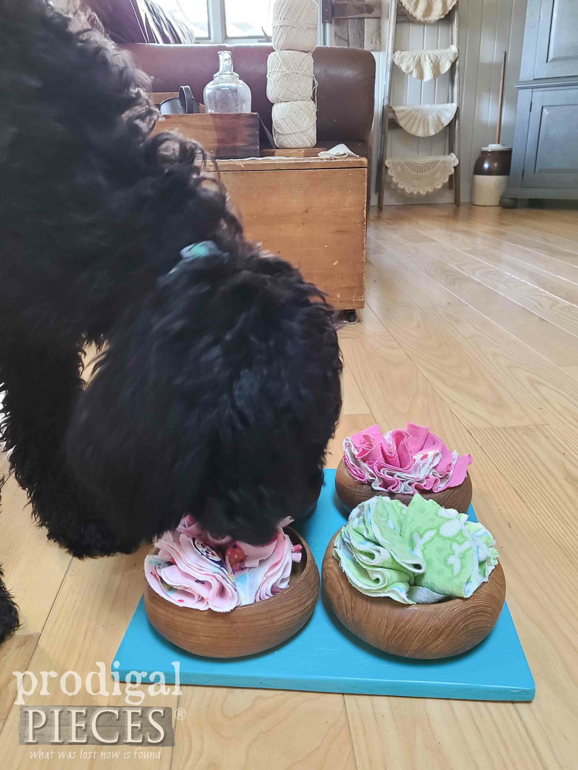 Goldendoodle Snuffle Game Board from Upcycled Salad Bowls by Larissa of Prodigal Pieces | prodigalpieces.com #prodigalpieces #dogs #diy #upcycled #game