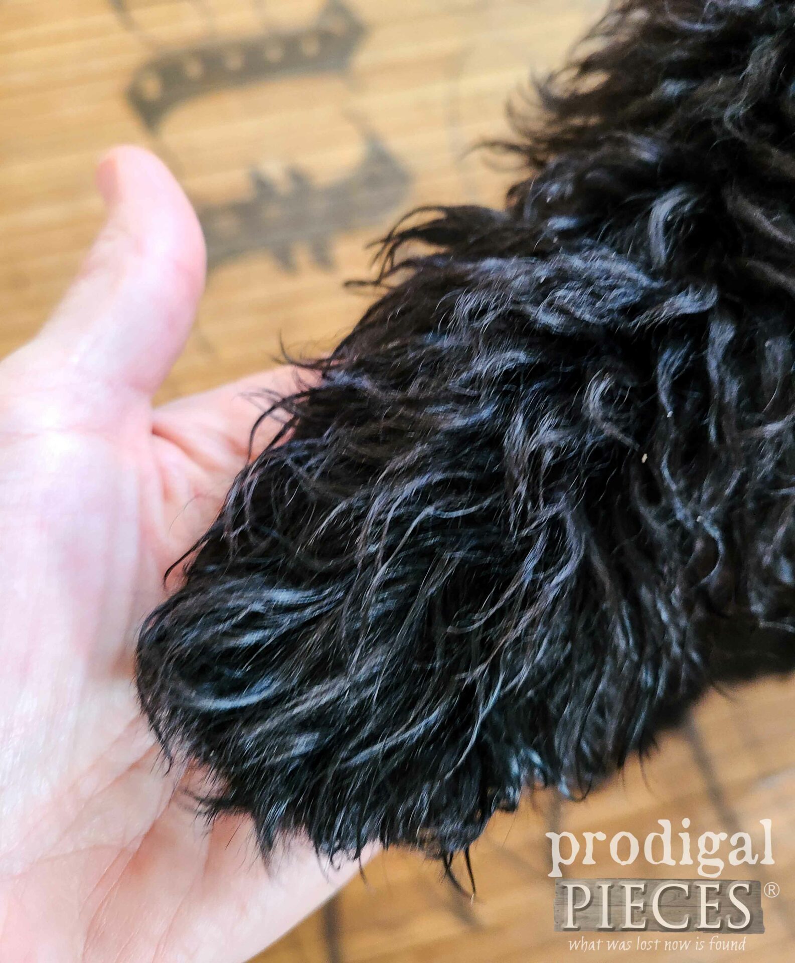 Black Goldendoodle Puppy Paw Handshake | prodigalpieces.com #prodigalpieces #puppy