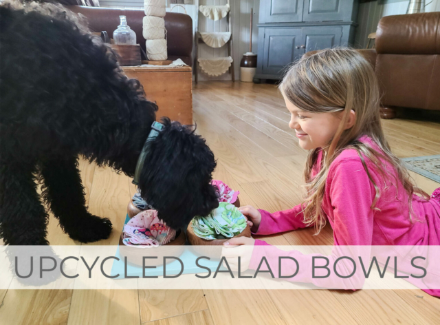 Showcase Upcycled Salad Bowls into DIY Dog Snuffle Game by Larissa of Prodigal Pieces | prodigalpieces.com #prodigalpieces