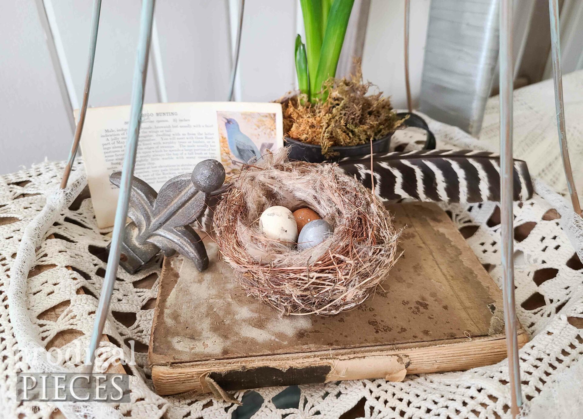 Spring Bird's Nest in Upcycled Lampshade Cloche by Larissa of Prodigal Pieces | prodigalpieces.com #prodigalpieces #farmhouse #diy #upcycled