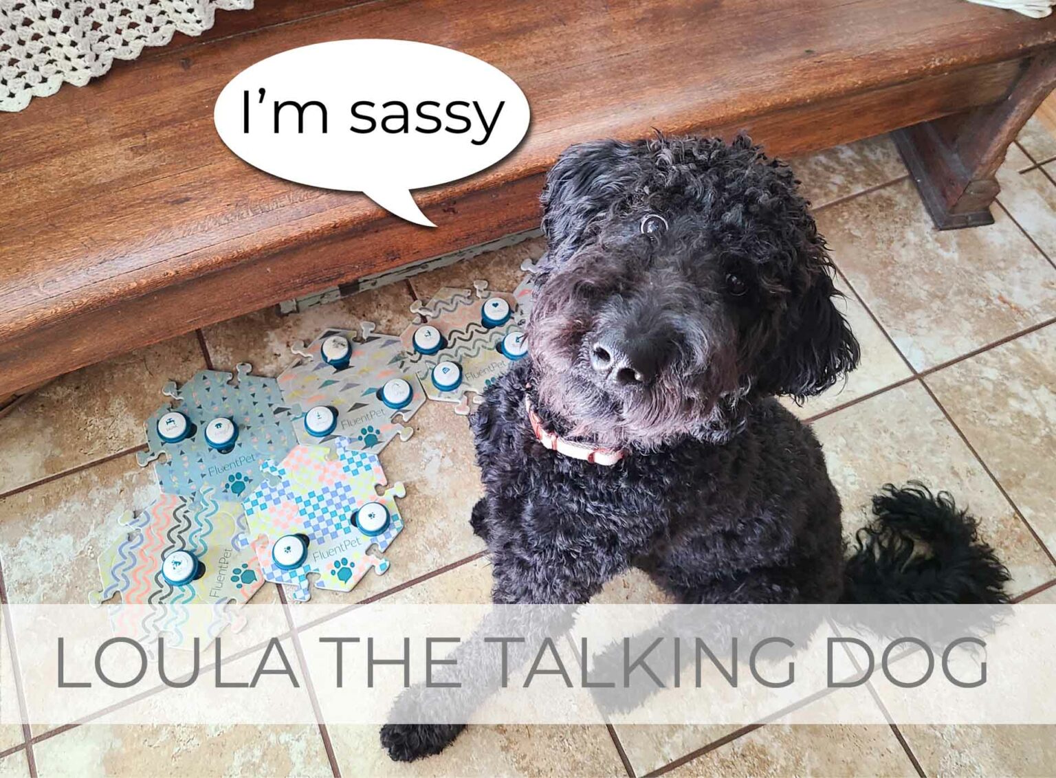Loula the Talking Dog by Prodigal Pieces | prodigalpieces.com #prodigalpieces