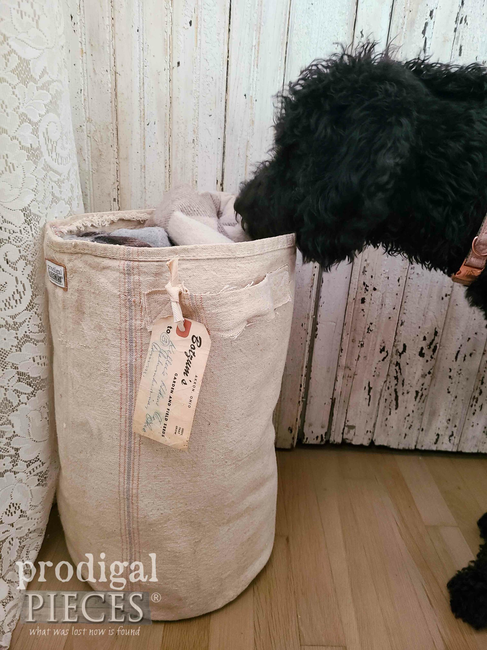 Goldendoodle Puppy Inspecting Feed Sack Bucket by Larissa Prodigal Pieces | prodigalpieces.com #prodigalpieces #upcycled #farmhouse #storage