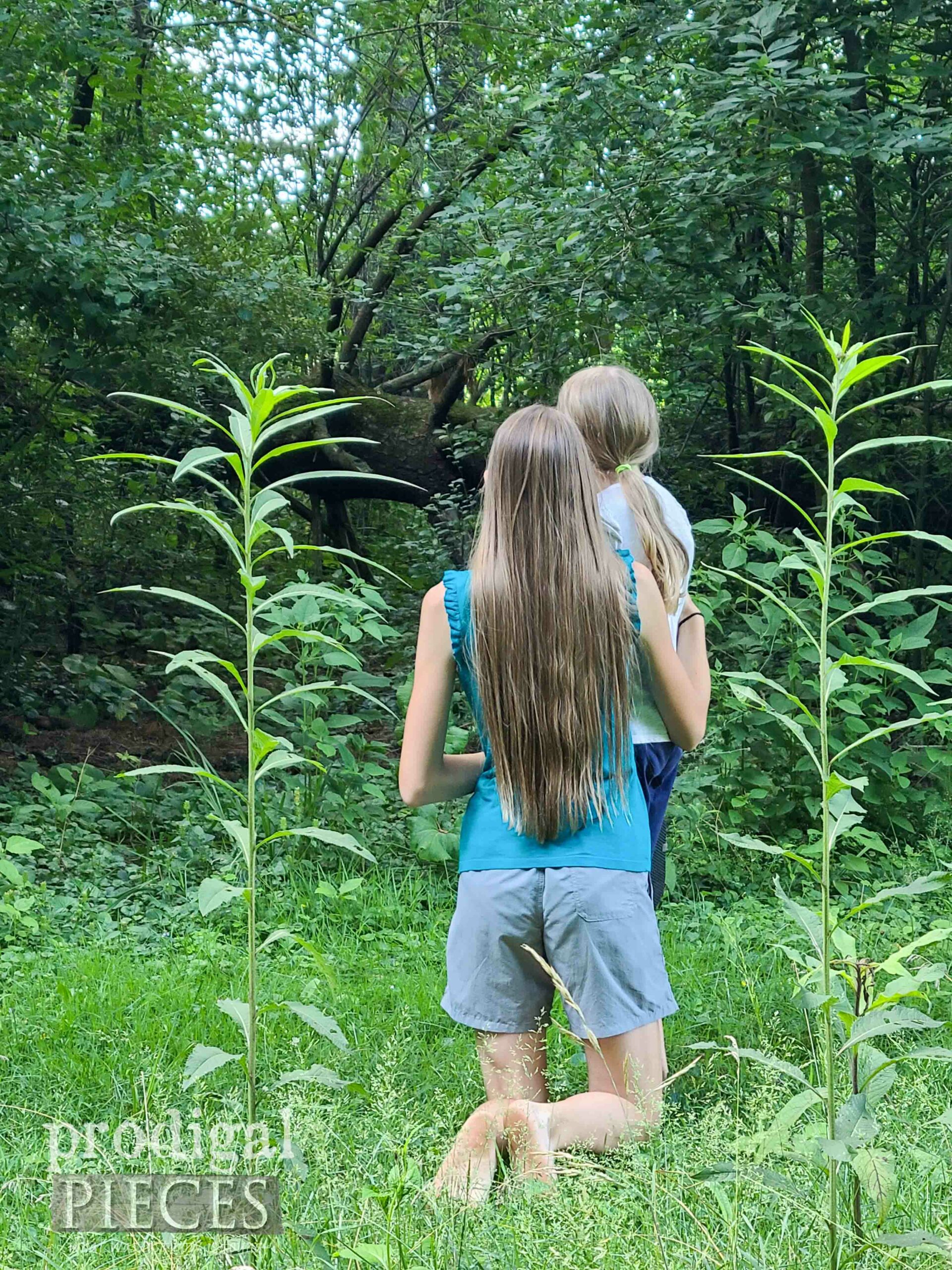 Kids Barefoot Hiking | prodigalpieces.com #prodigalpieces