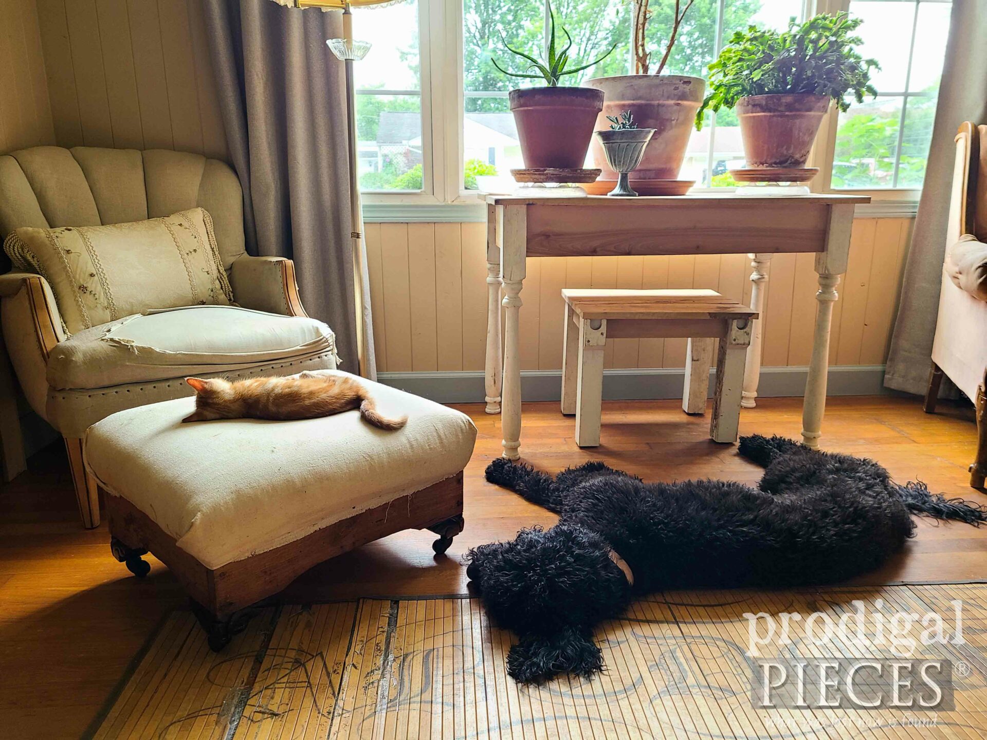 Loula and Ivan Sleeping in Living Room | prodigalpieces.com #prodigalpieces