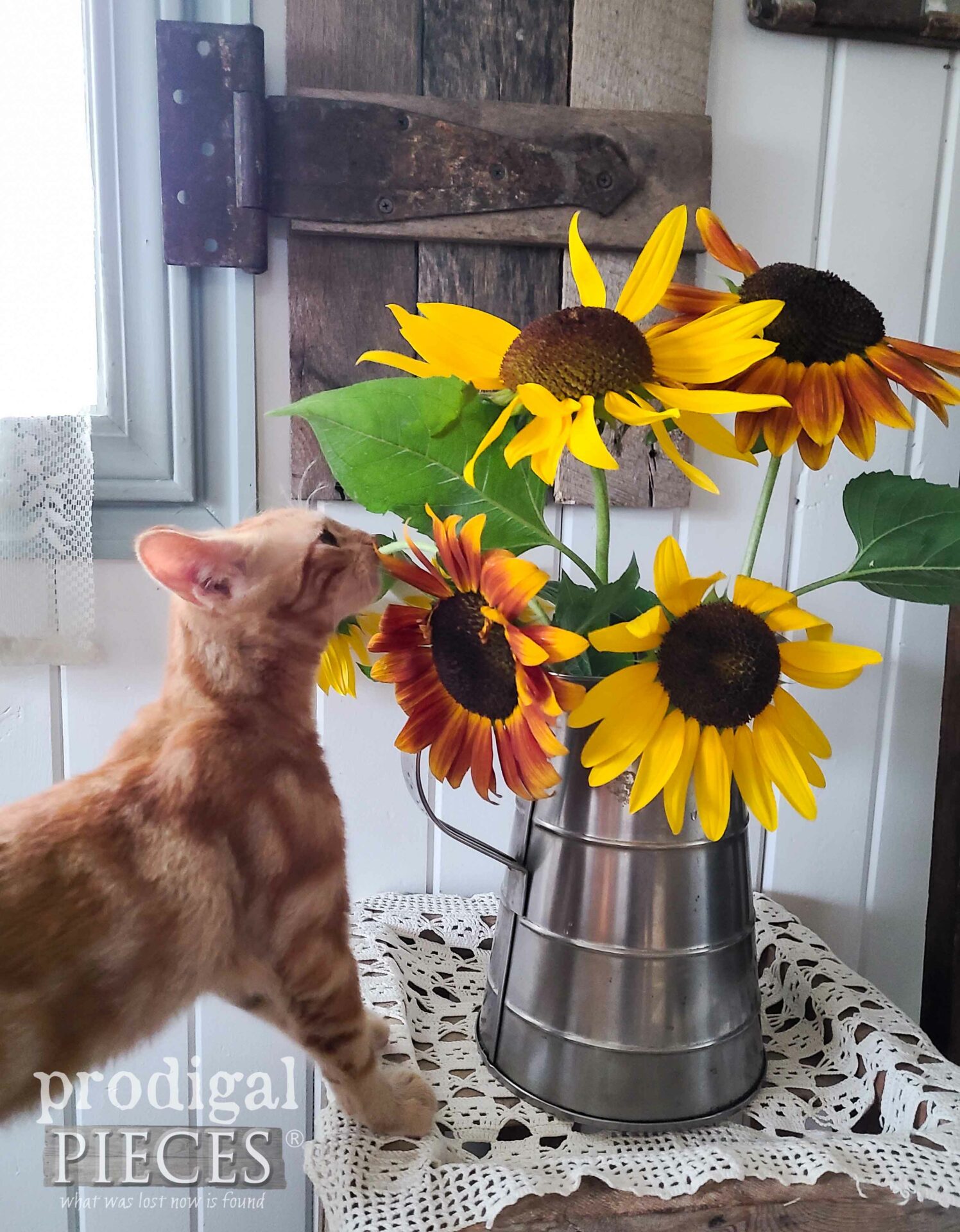Ivan the Tiger Kitten Smelling Sunflowers by Larissa of Prodigal Pieces | prodigalpieces.com #prodigalpieces