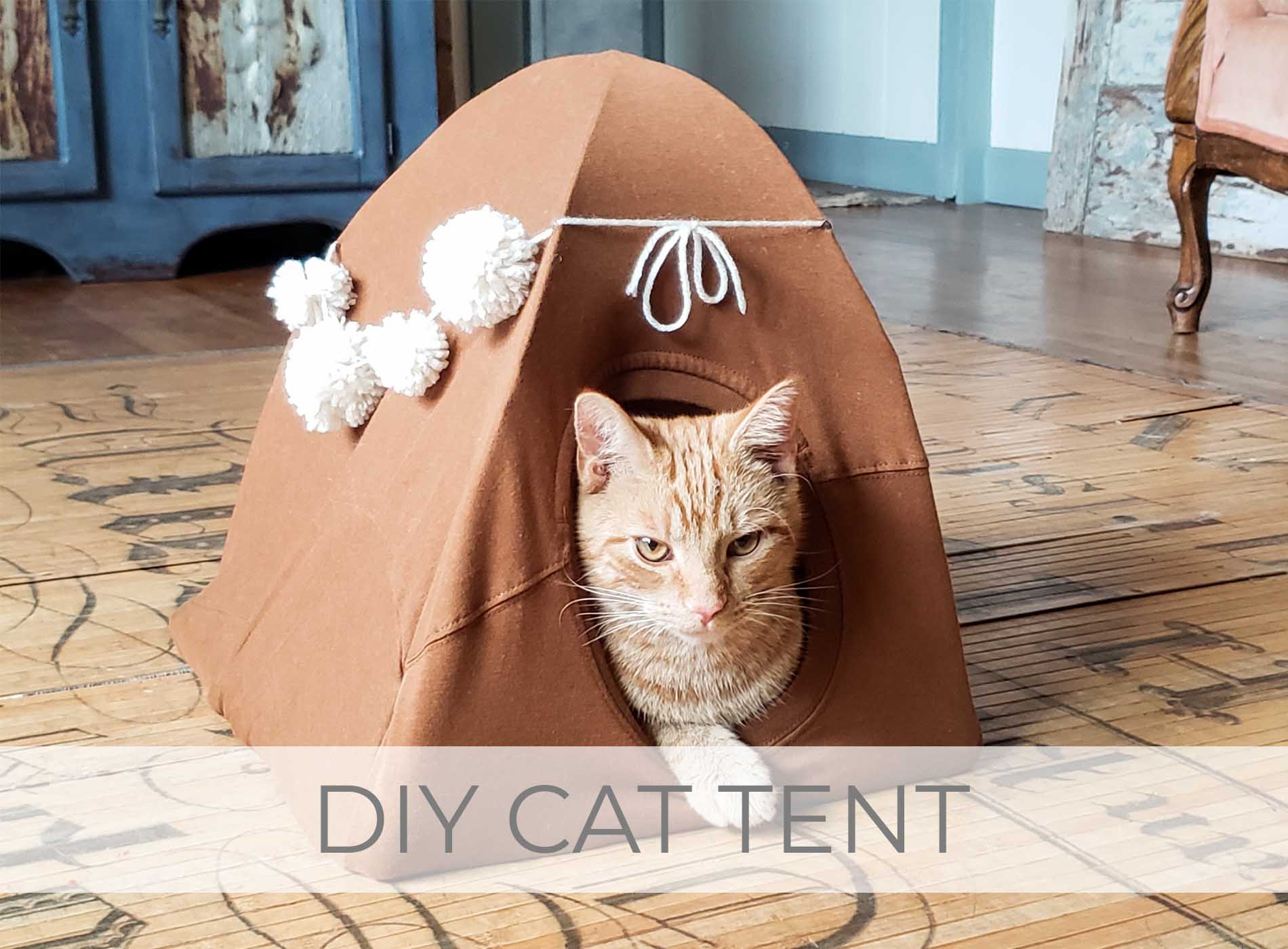 Showcase of DIY Cat Tent Video Tutorial by Larissa of Prodigal Pieces | prodigalpieces.com #prodigalpieces