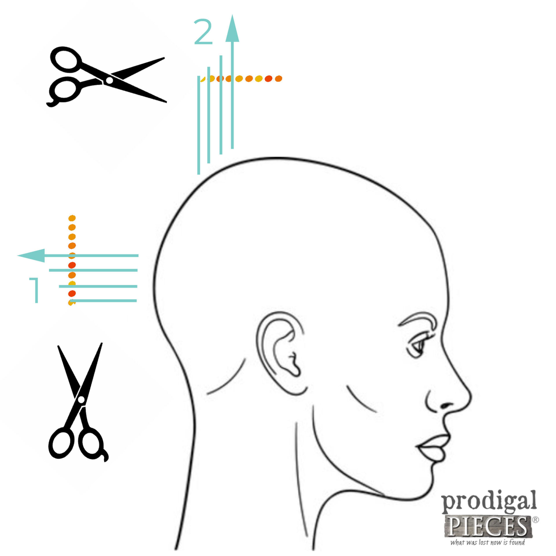 Diagram for DIY Short Bob Haircut | prodigalpieces.com #prodigalpieces