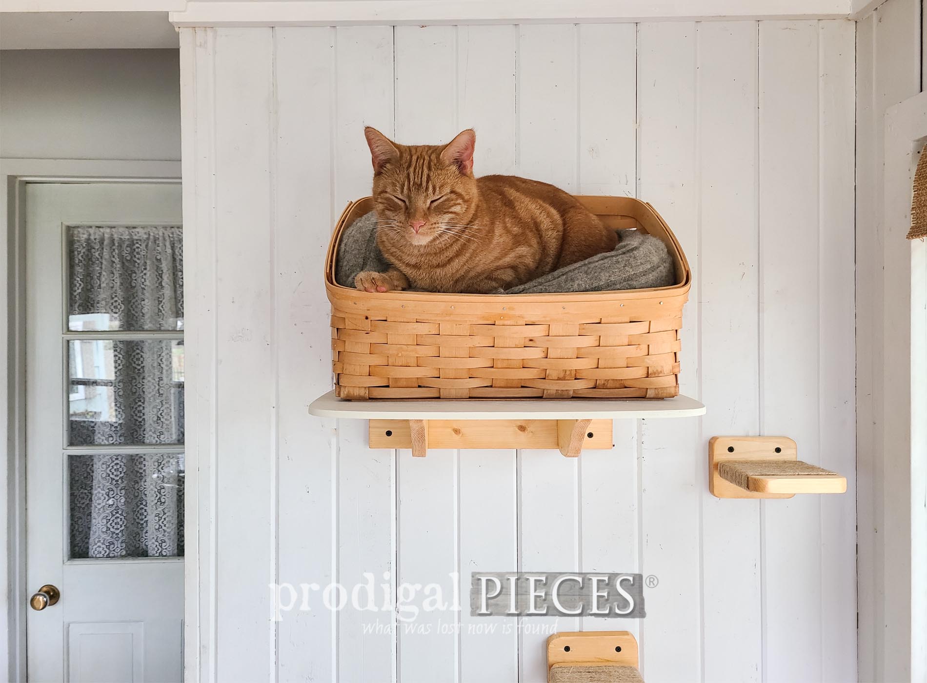 Featured DIY Floating Cat Bed from a Thrifted Basket and Sweater by Larissa of Prodigal Pieces | prodigalpieces.com #prodigalpieces