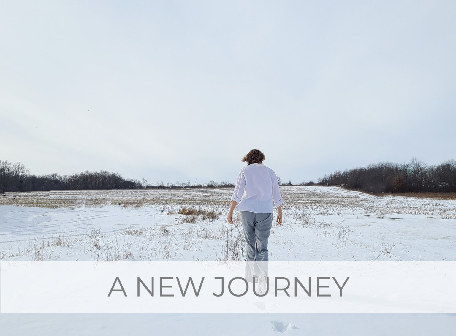 A New Journey of Healing Post Divorce and No Contact Narcissist Paret by Livin' Real with Larissa | livinrealwithlarissa.com #livinrealwithlarissa
