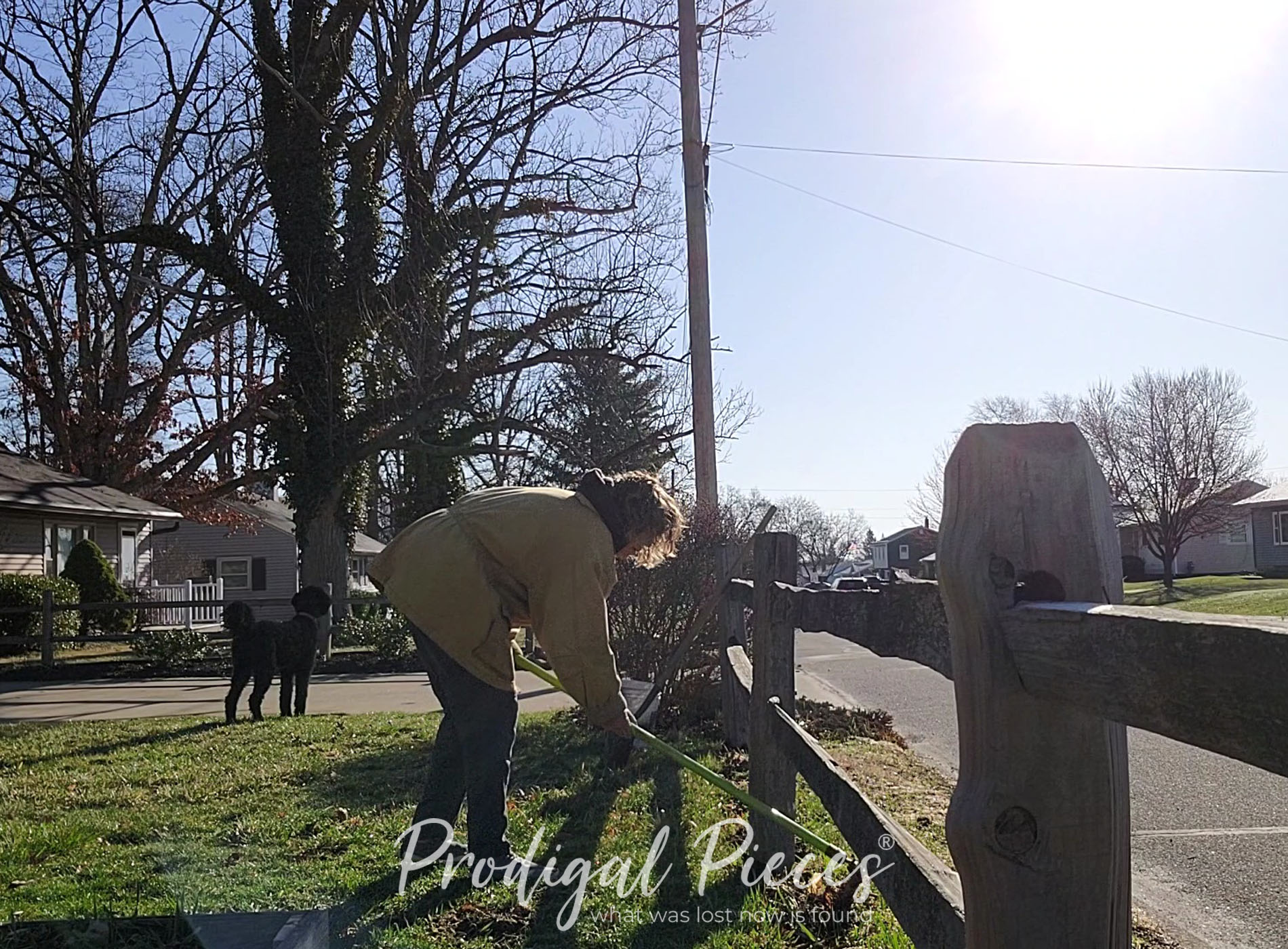 Featured City Gardening - time to grow UP! by Larissa of Prodigal Pieces | prodigalpieces.com #prodigalpieces