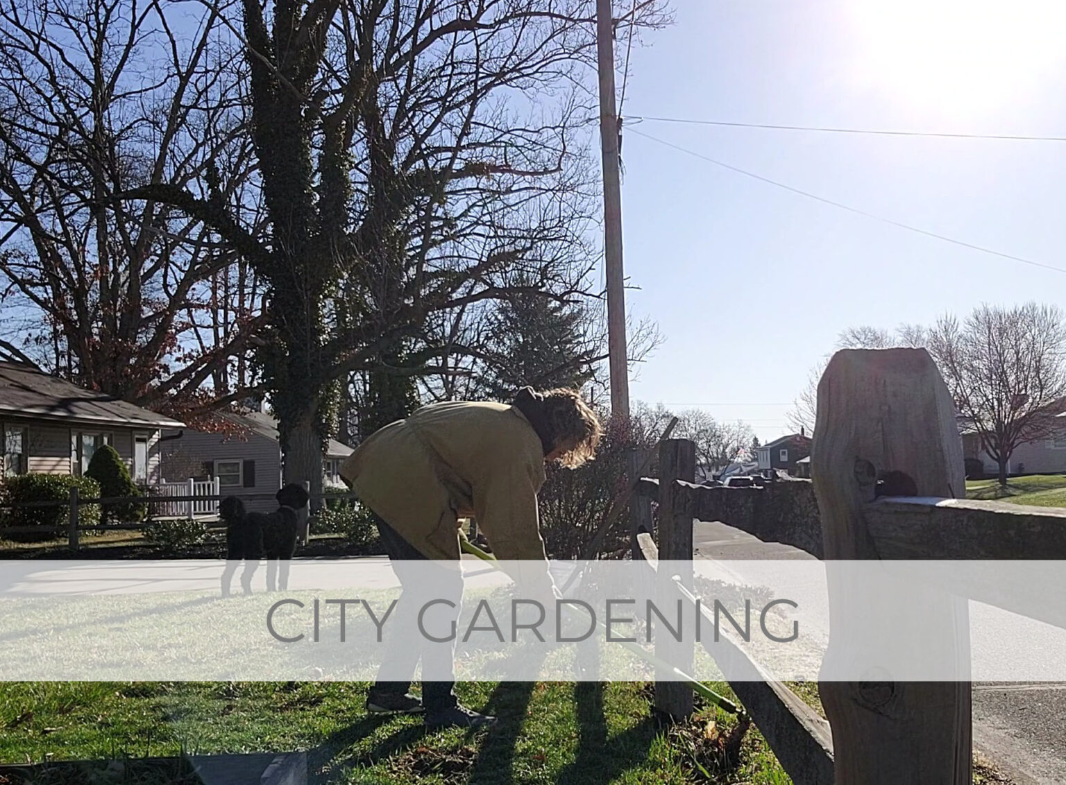 Showcase of City Gardening and Life Update #7 by Larissa of Prodigal Pieces | prodigalpieces.com #prodigalpieces