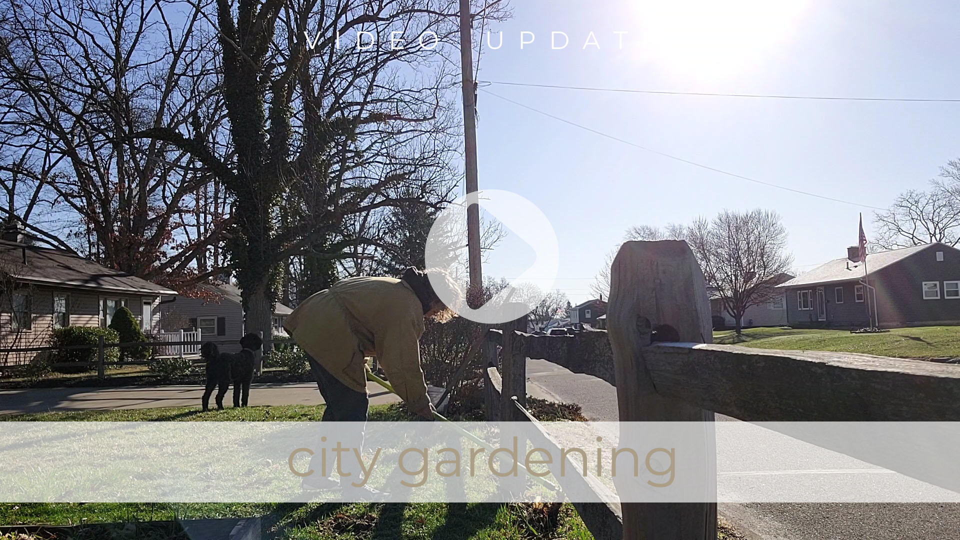 Video Vlog by Larissa of Prodigal Pieces on City Gardening and Life Update #7 Vlog | prodigalpieces.com #prodigalpieces