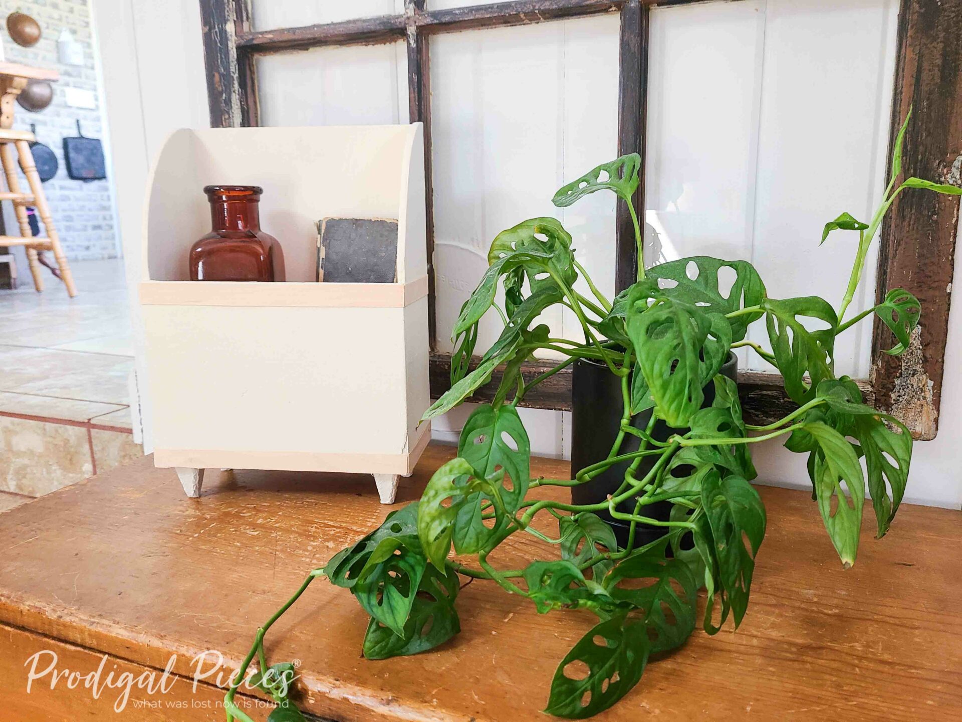 Swiss Cheese Plant in Boho Decor by Larissa of Prodigal Pieces | prodigalpieces.com #prodigalpieces Swiss Cheese Plant in Boho Decor by Larissa of Prodigal Pieces | prodigalpieces.com #prodigalpieces