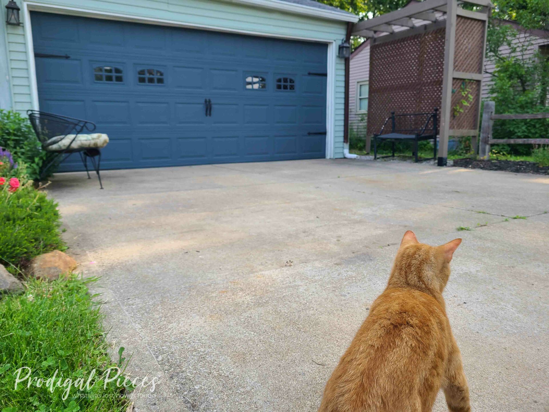 Ivan Inspecting My Painted Garage Door | livinrealwithlarissa.com Ivan Inspecting My Painted Garage Door | livinrealwithlarissa.com