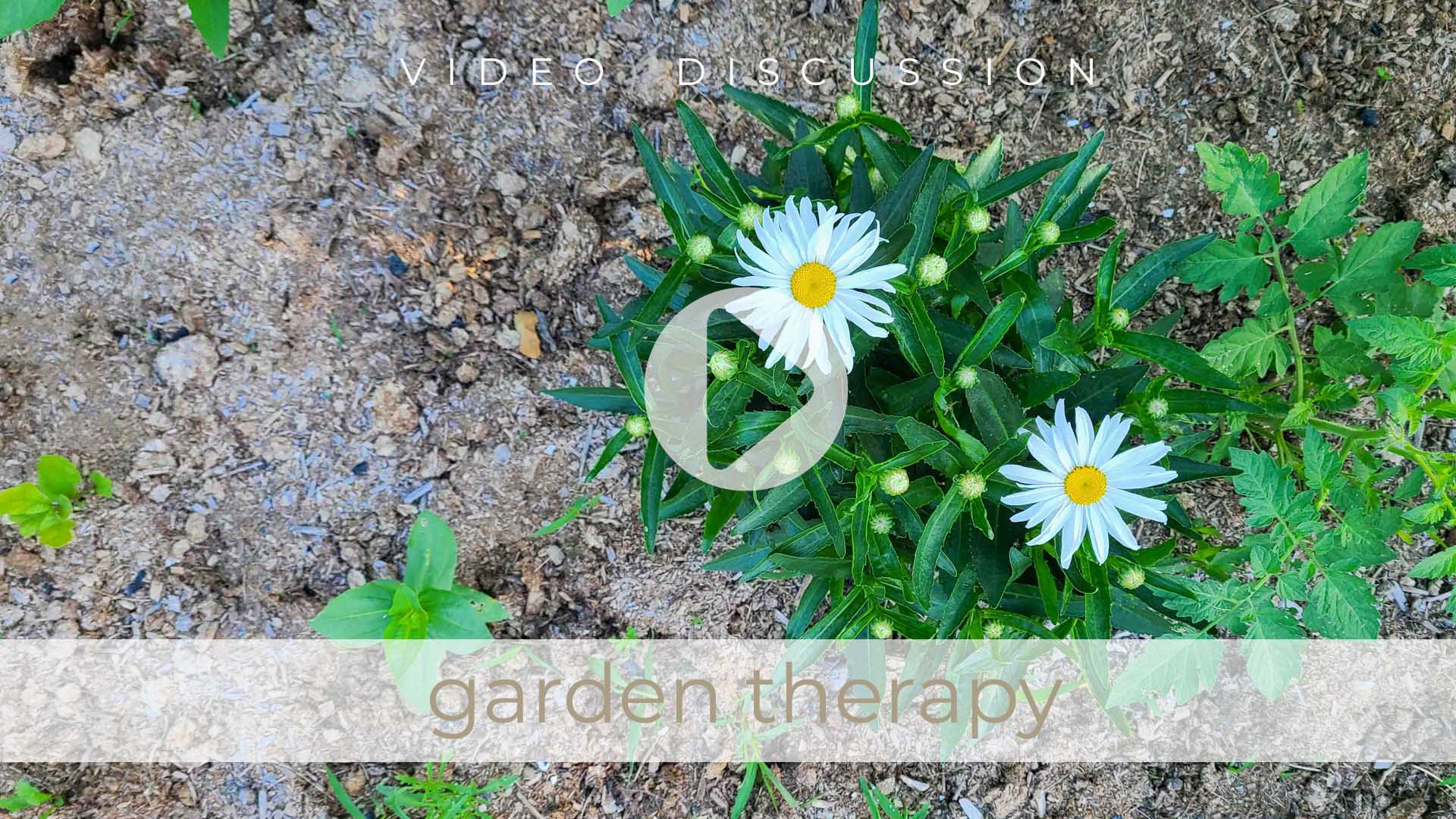 Vlog by Livin' Real with Larissa on Garden Therapy and Life Lessons | livinrealwithlarissa.com #livinrealwithlarissa Vlog by Livin' Real with Larissa on Garden Therapy and Life Lessons | livinrealwithlarissa.com #livinrealwithlarissa