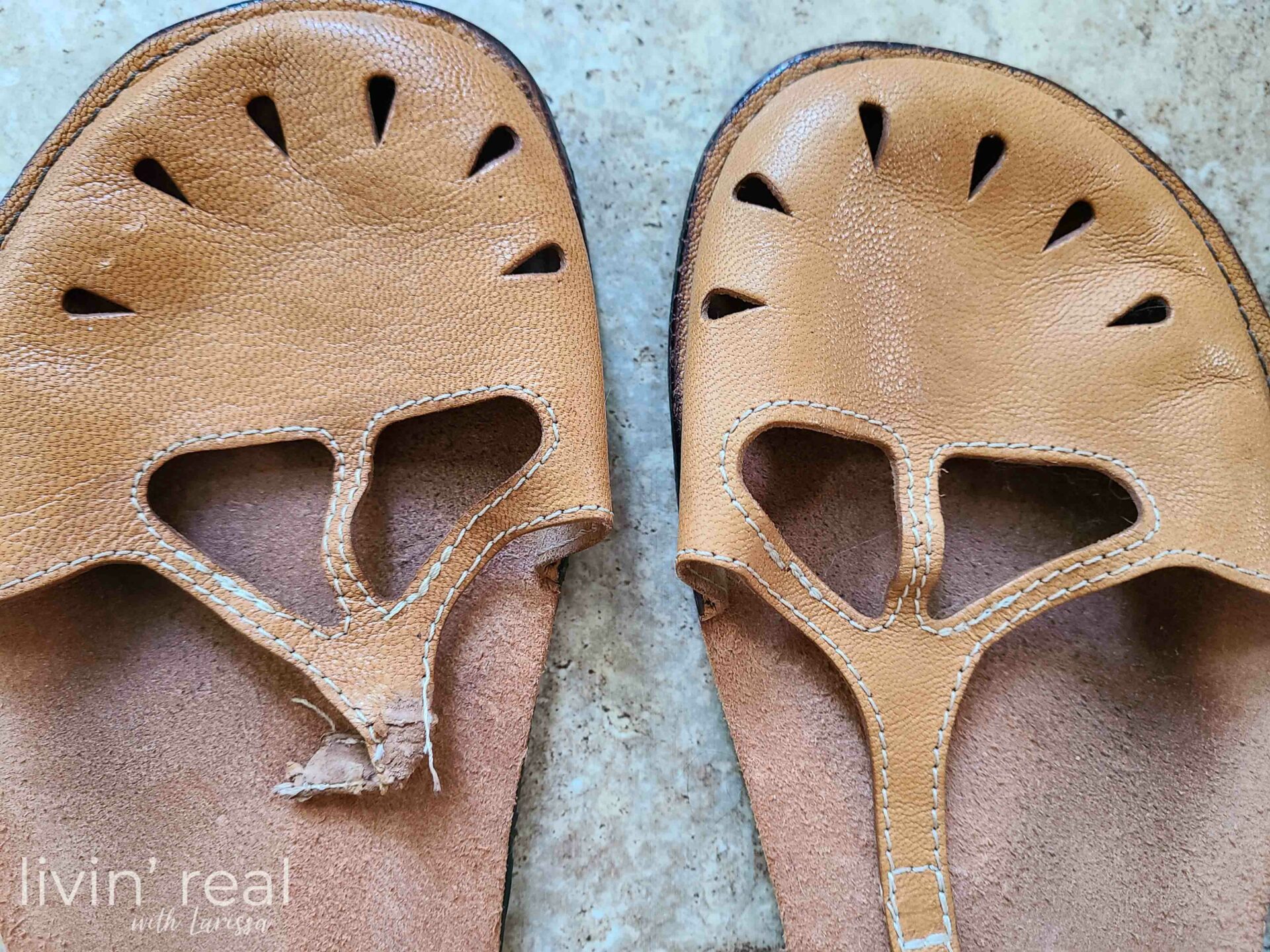 Dog Chewed GeaSoles Sandal Before Repair | livinrealwithlarissa.com #livinrealwithlarissa Dog Chewed GeaSoles Sandal Before Repair | livinrealwithlarissa.com #livinrealwithlarissa