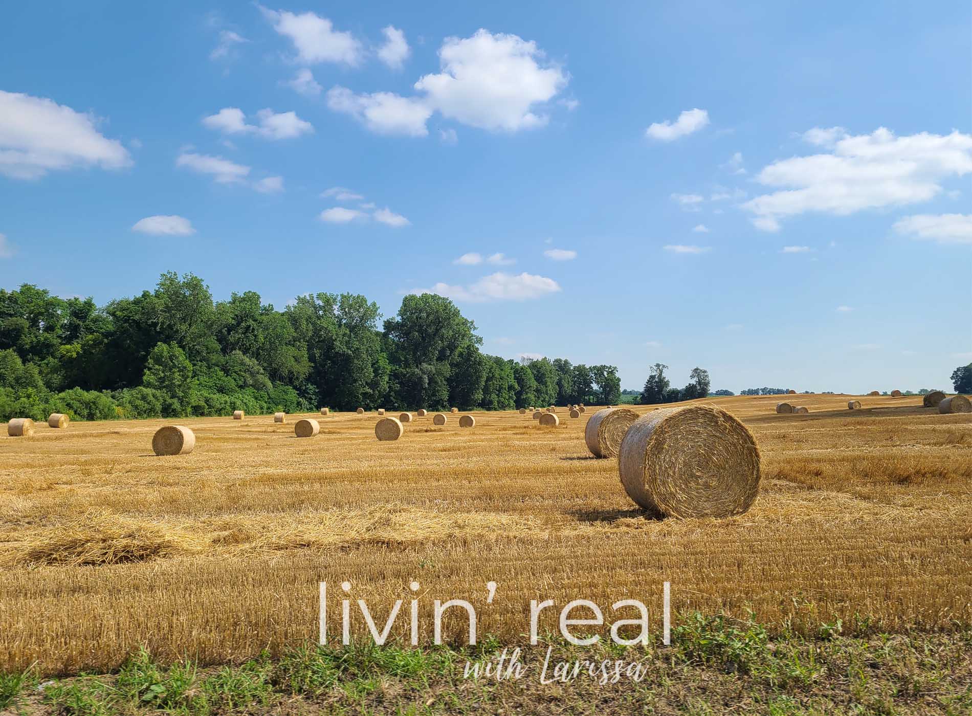 Featured A Year of Firsts Post-Divorce and Healing by Livin' Real with Larissa | livinrealwithlarissa.com #livinrealwithlarissa