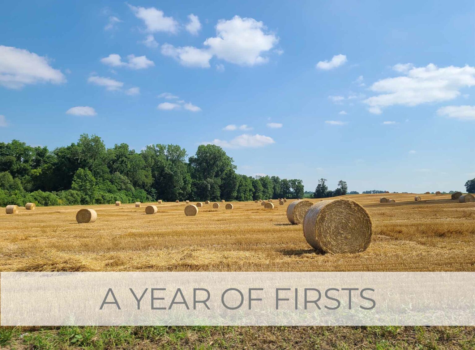 Showcase A Year of Firsts Post-Divorce and Healing by Livin' Real with Larissa | livinrealwithlarissa.com #livinrealwithlarissa