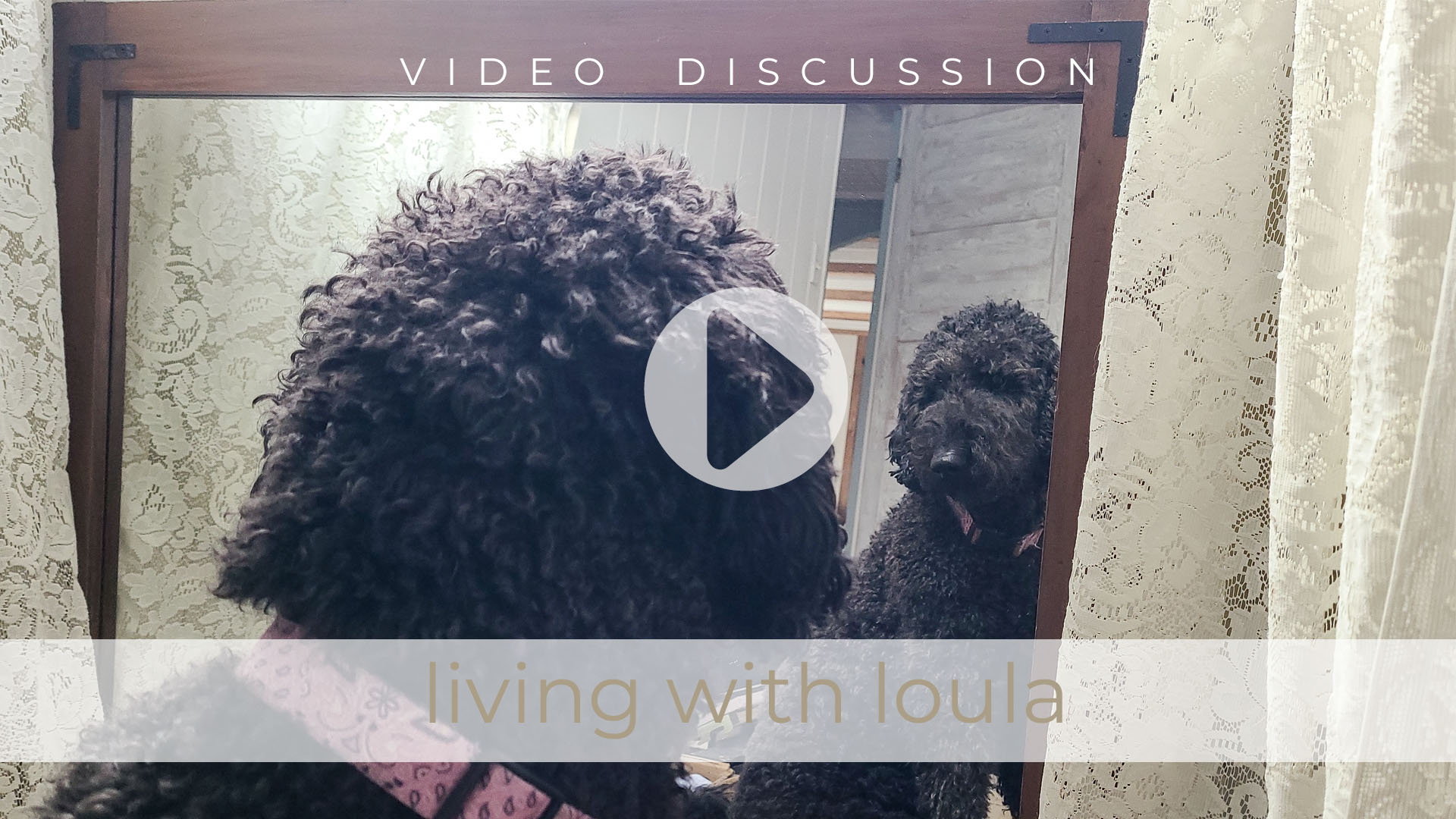 Vlog Living with Loula, Lily and Ivan - a love-filled tale of therapeutic love from pets | Livin' Real with Larissa | livinrealwithlarissa.com #livinrealwithlarissa