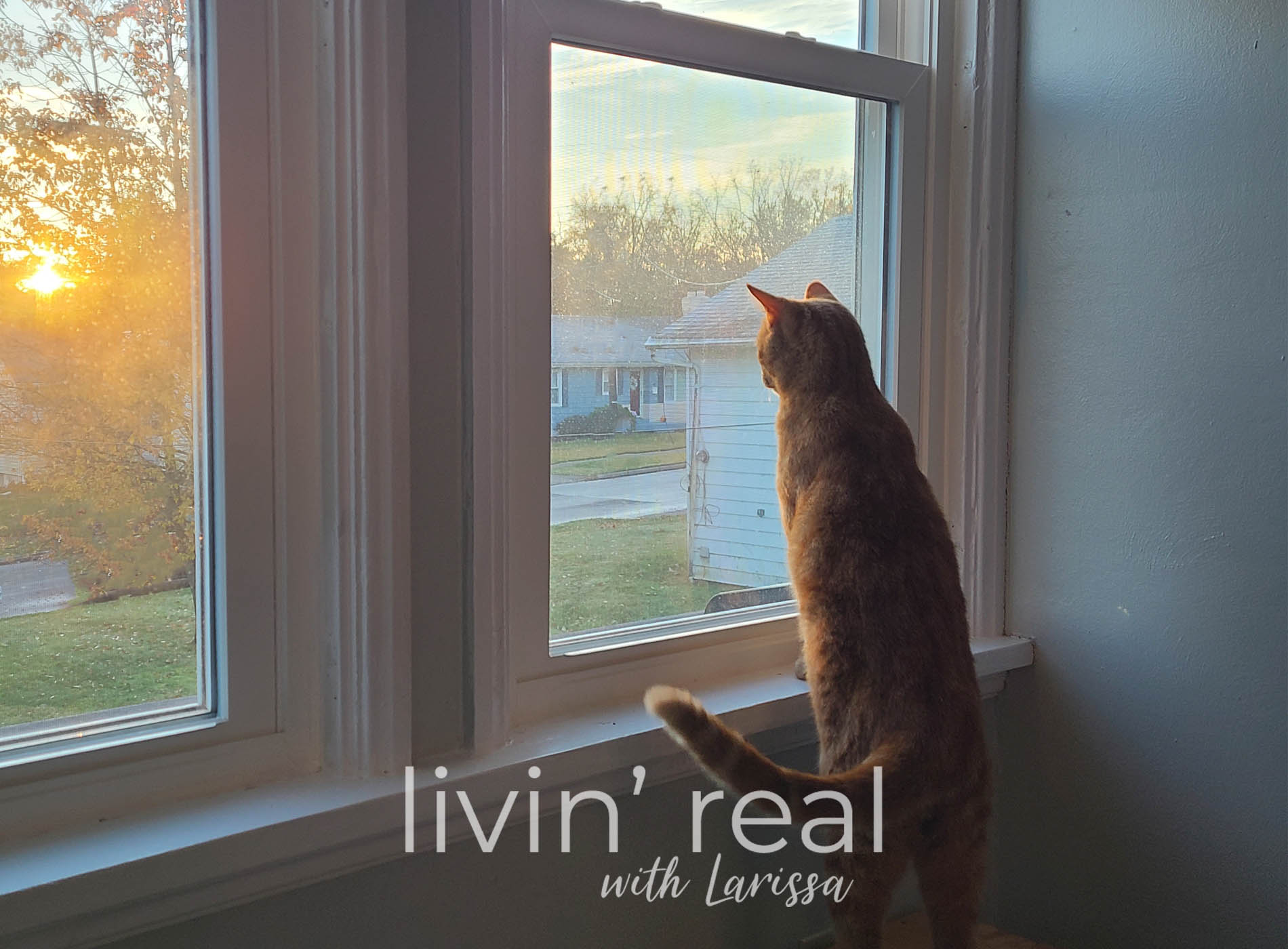 Featured New Home Before Inside Tour by Livin' Real with Larissa | livinrealwithlarissa #livinrealwithlarissa