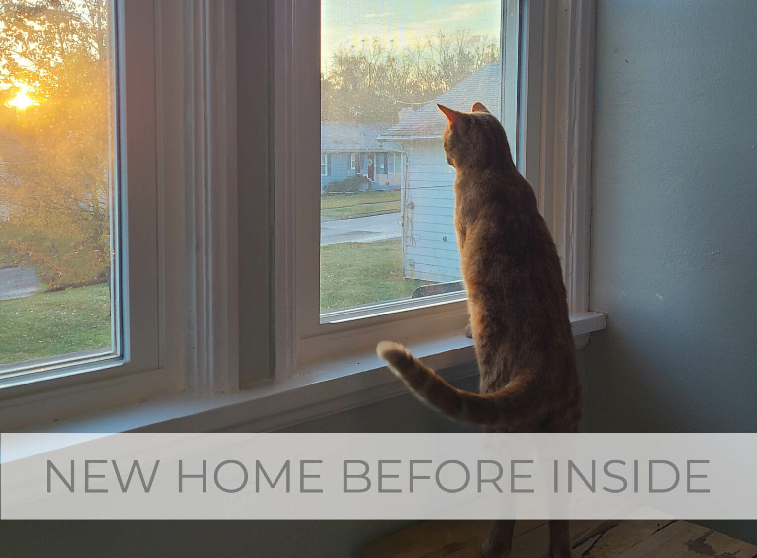 Showcase of New Home Before Inside Tour by Livin' Real with Larissa | livinrealwithlarissa.com #livinrealwithlarissa