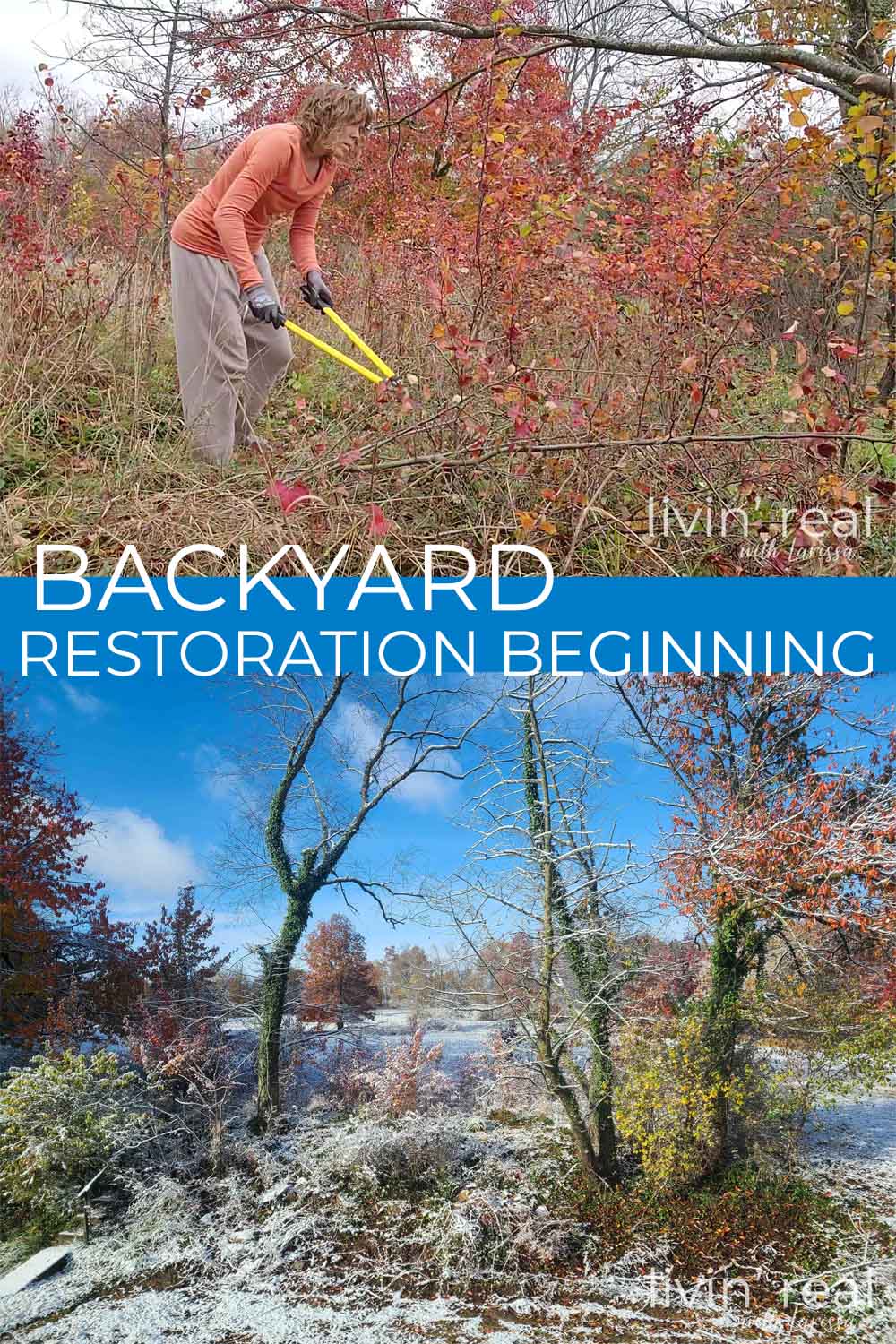 Backyard Restoration Beginning by Livin' Real with Larissa | livinrealwithlarissa.com #livinrealwithlarissa