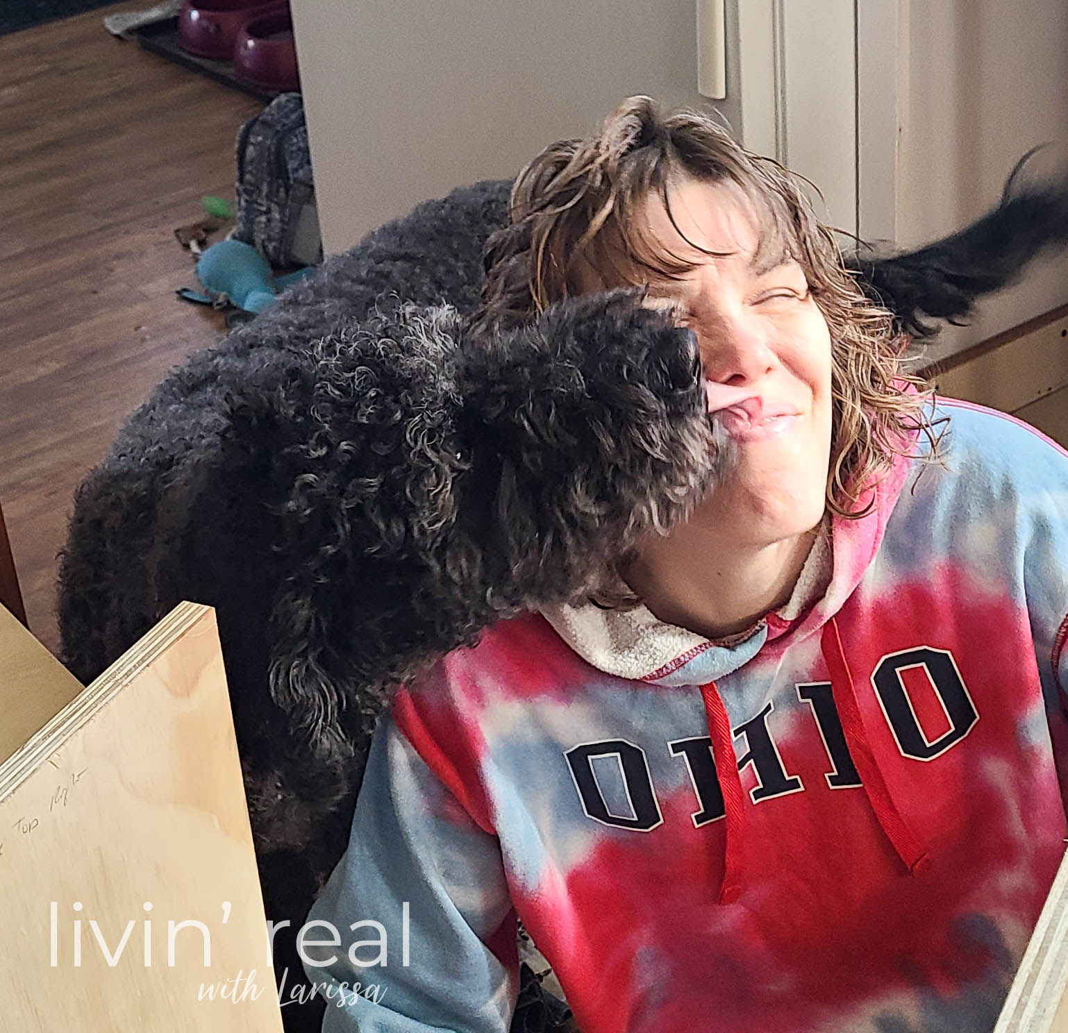 Loula Licking Larissa During DIY Pull Out Storage | livinrealwithlarissa.com #livinrealwithlarissa