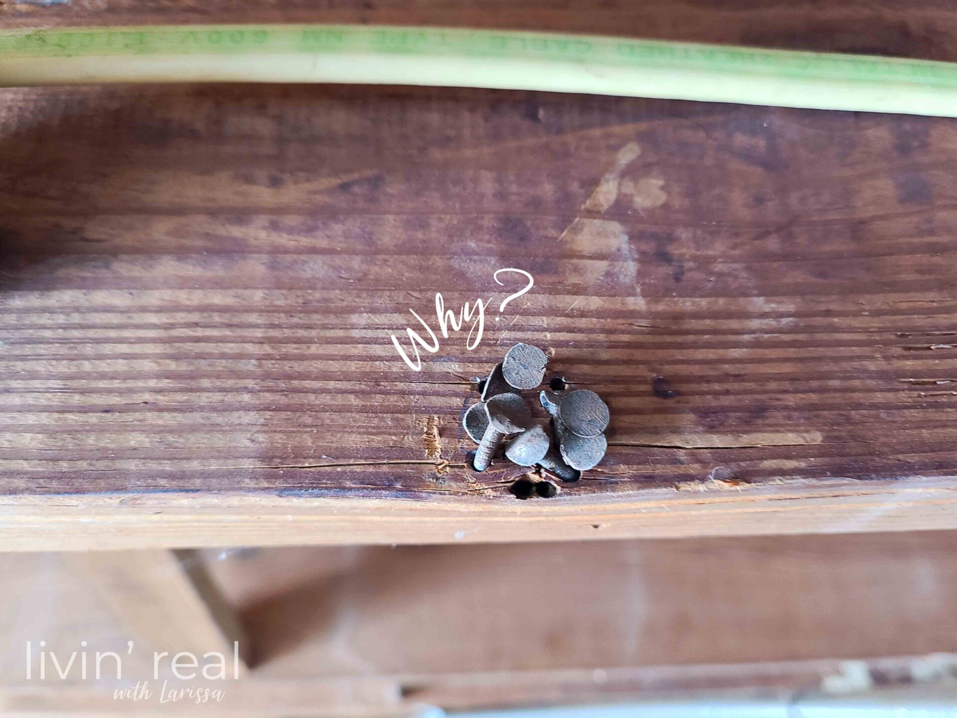 Mess of Nails in Ceiling | DIY Lighting Family Room | livinrealwithlarissa.com #livinrealwithlarissa