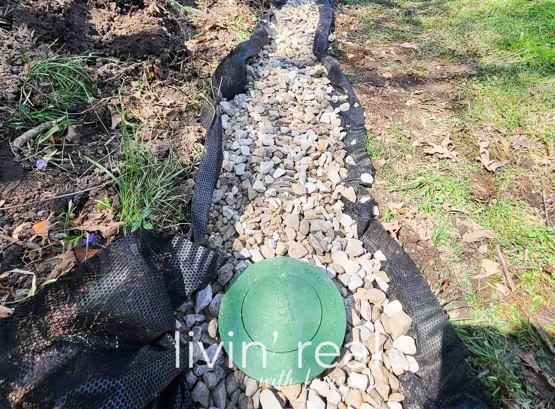 Backyard DIY French Drain | livinrealwithlarissa.com #livinrealwithlarissa