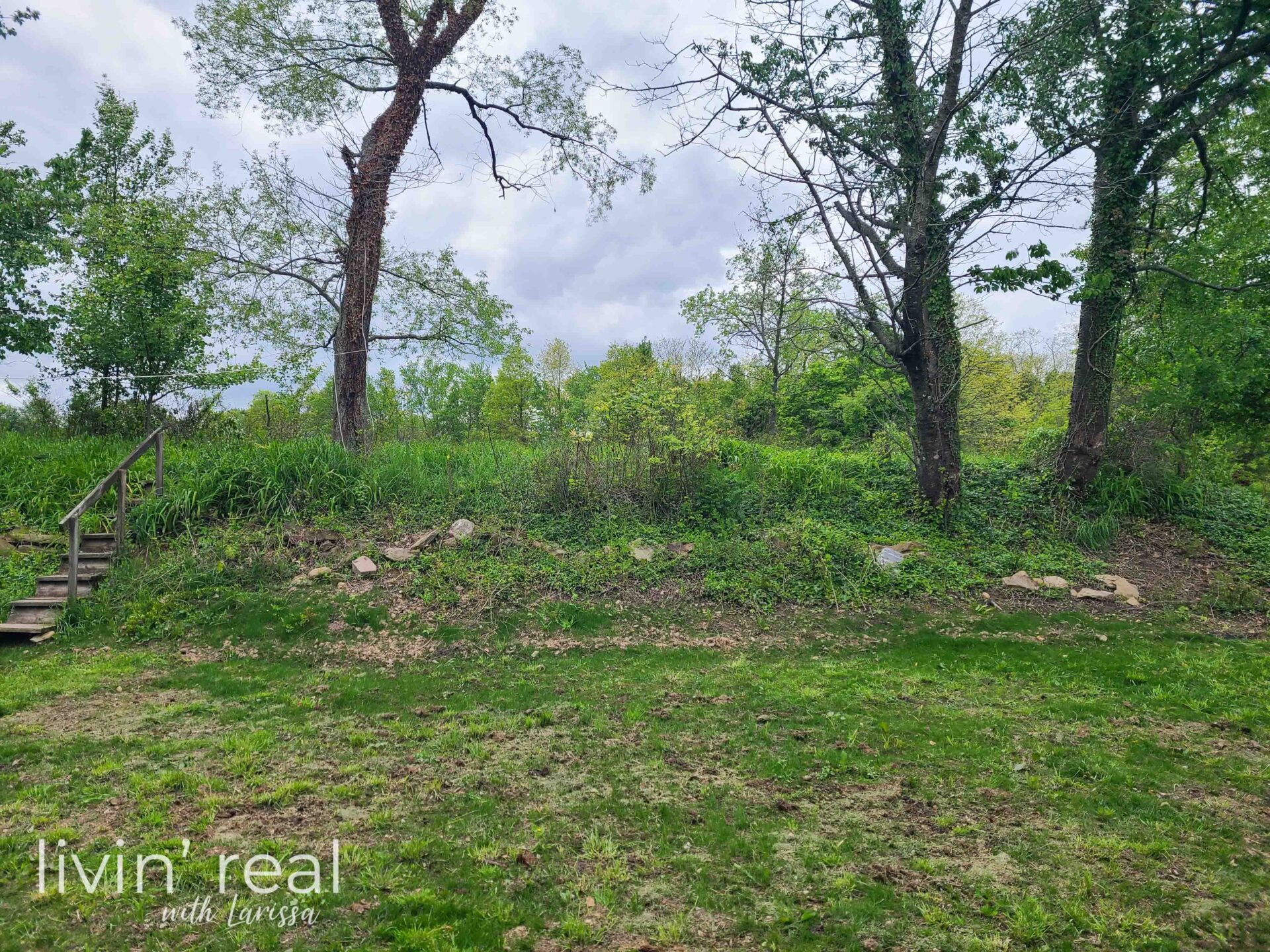 Backyard Before New Home Backyard Update | livinrealwithlarissa.com #livinrealwithlarissa Backyard Before New Home Backyard Update | livinrealwithlarissa.com #livinrealwithlarissa