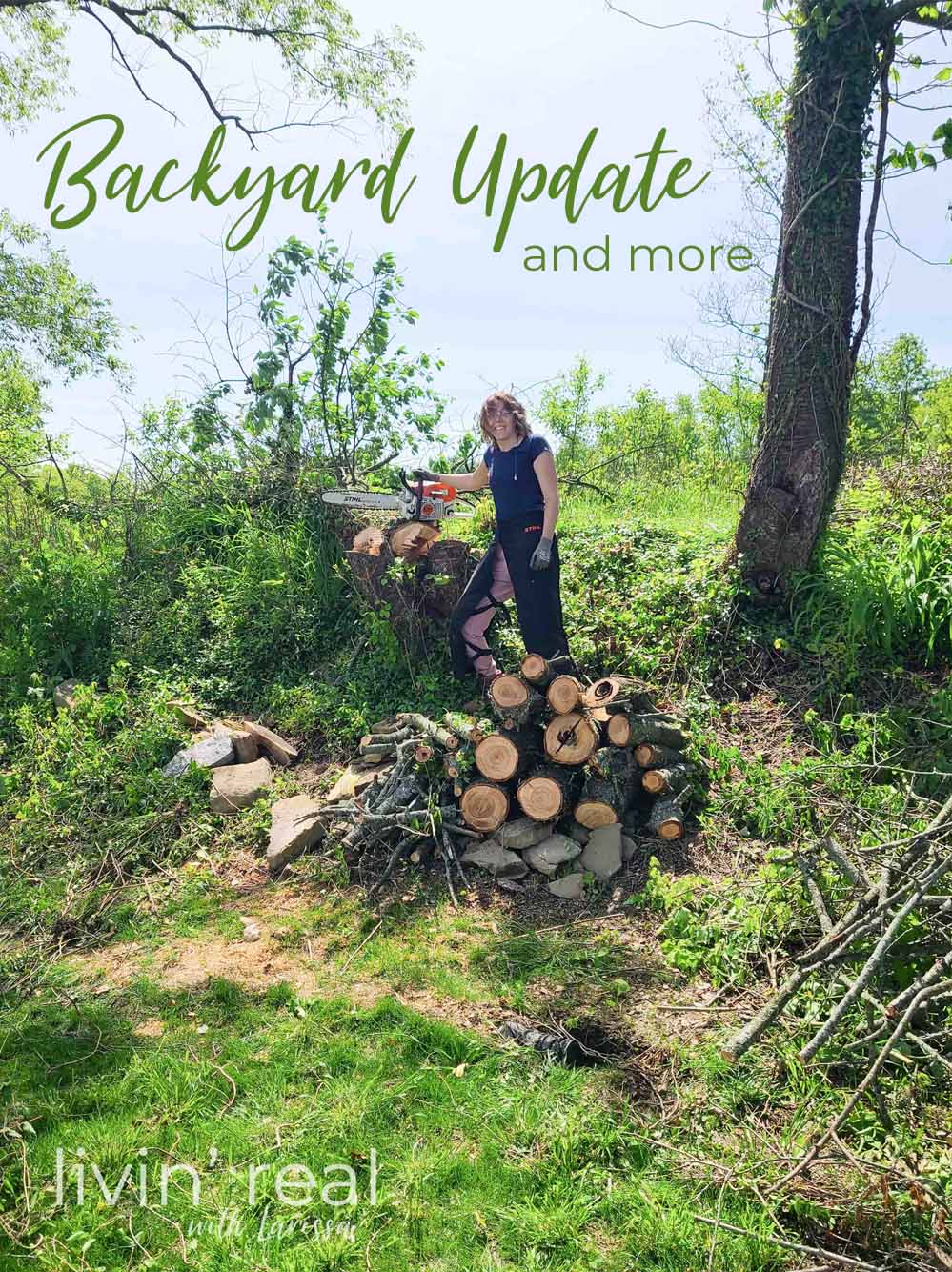 New Home Backyard Update by Livin' Real with Larissa | livinrealwithlarissa.com #livinrealwithlarissa New Home Backyard Update by Livin' Real with Larissa | livinrealwithlarissa.com #livinrealwithlarissa